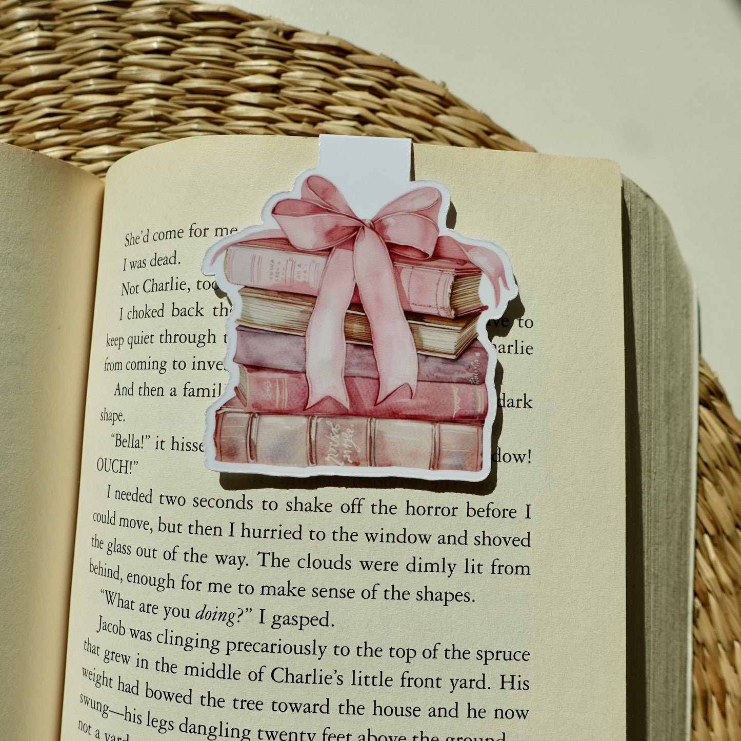 Coquette Books Magnetic Bookmark